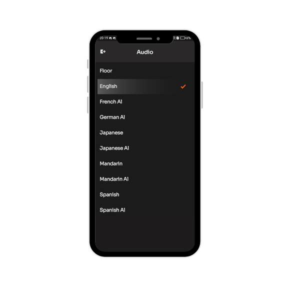 Audience Mobile Interface 3