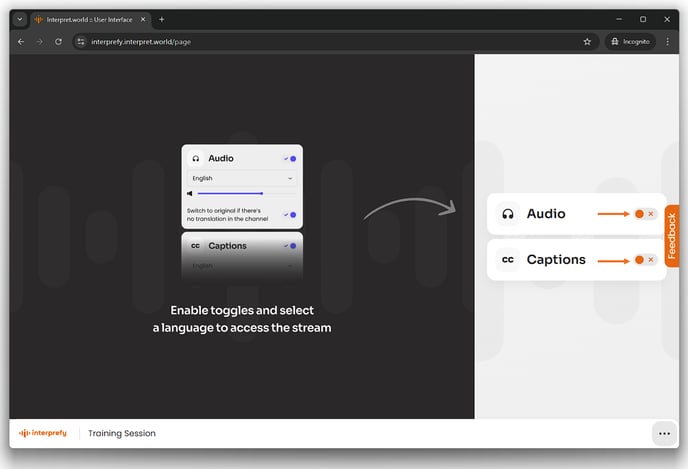 Audience User Guide 2